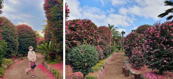 @_xana_369, 온라인커뮤니티