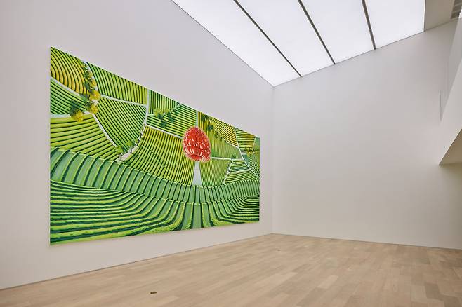 설치 전경 / 골디락스 존, 파운드리 서울, 2023