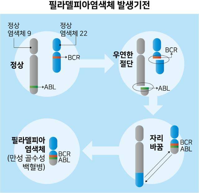 그래픽=강준구기자