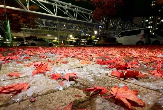 6일 오후 부산 해운대구 한 도로에 우박에 쏟아져 있다.   연합뉴스