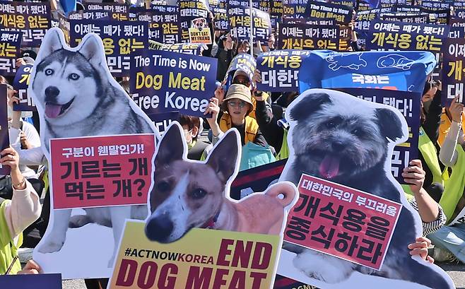 지난 10월 29일 서울 여의도 국회 앞에서 열린 '2023 개 식용 금지법 제정 촉구 국민대집회'에서 참가자들이 구호를 외치고 있다. /연합뉴스