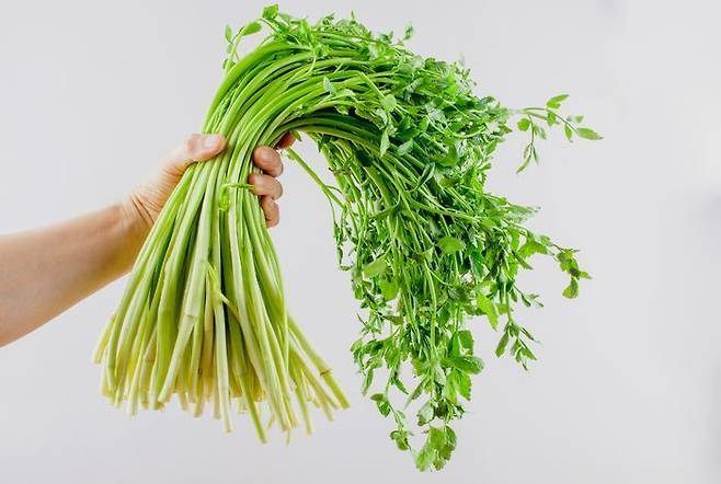 ⓒ게티이미지뱅크