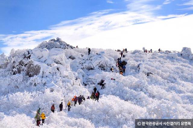 ▲ 전북 무주 덕유산 . 한국관광공사 제공