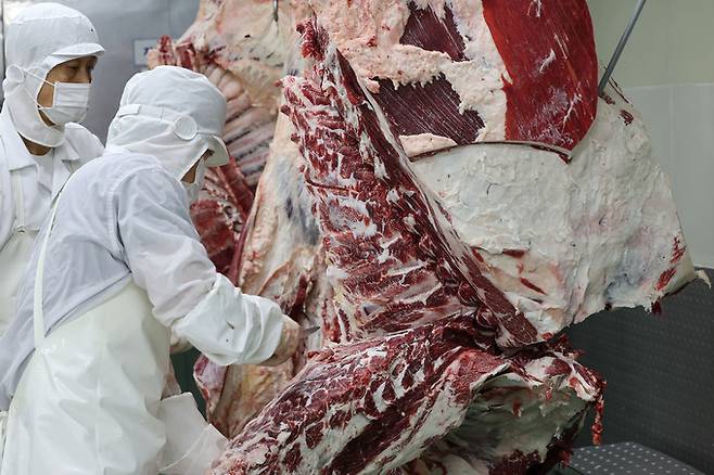 발골기술사들이 소의 가장 비싼 부위인 등심을 잘라내고 있다.