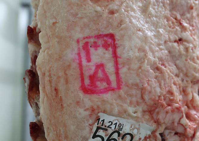 지육예랭실에 걸린 한우 지육에 투플러스 등급 표시가 보인다.