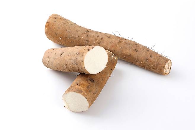 위가 안 좋은 사람들이 자주 찾는 식품 중 하나가 바로 ‘마’다./사진=클립아트코리아