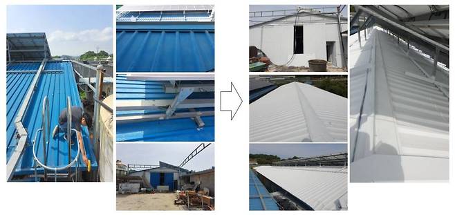 동탄농장 지붕에 시공한 이유씨엔씨 단·차열 페인트 시공 전후 사진 / 출처=이유씨엔씨