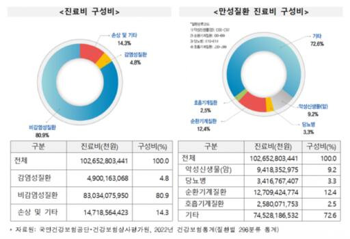 2022년 만성질환 진료비 구성 지표와 분류코드에 따른 진료비 구성비율. 질병관리청 제공