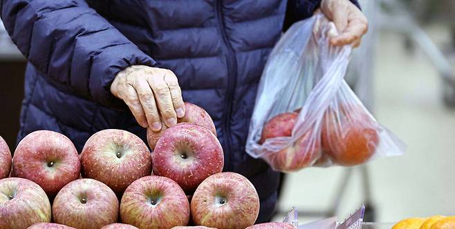 마트에서 한 시민이 사과를 골라 봉지에 담고 있습니다. 물가가 비싸서인지 사과를 들어올리는 손이 무거워보이네요. 김호영 기자
