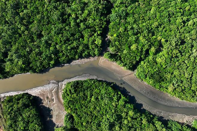 브라질 아마존 파괴 면적 전년 대비 64% 감소 / 사진=로이터 연합뉴스