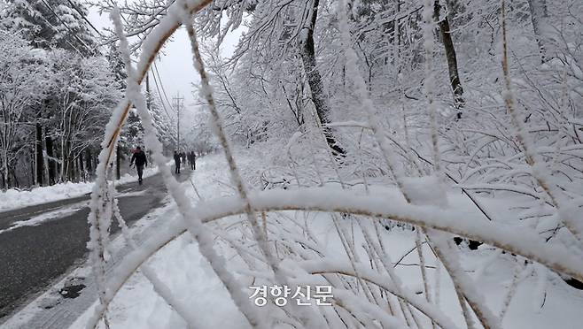 강원 산간 지역을 중심으로 많은 눈이 내린 12일 강원 평창군 선자령 등산로를 찾은 등산객들이 하얗게 눈이 쌓인 길을 걷고 있다.
