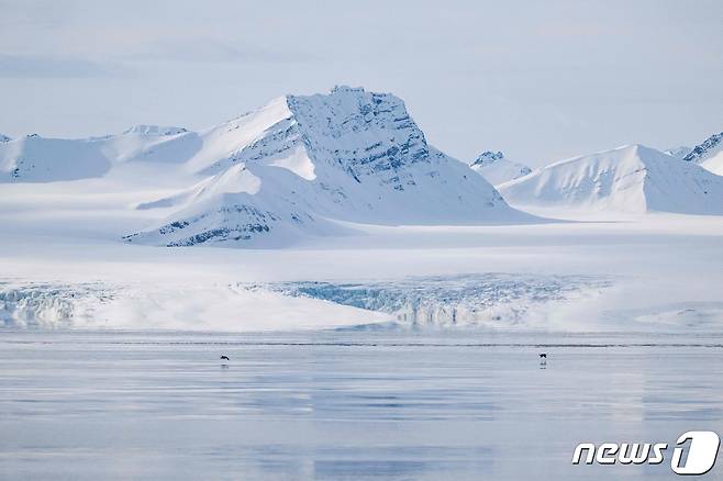 노르웨이 북부 스발바르 제도의 빙하. /2023.04.03 ⓒ AFP=뉴스1 ⓒ News1 권진영 기자