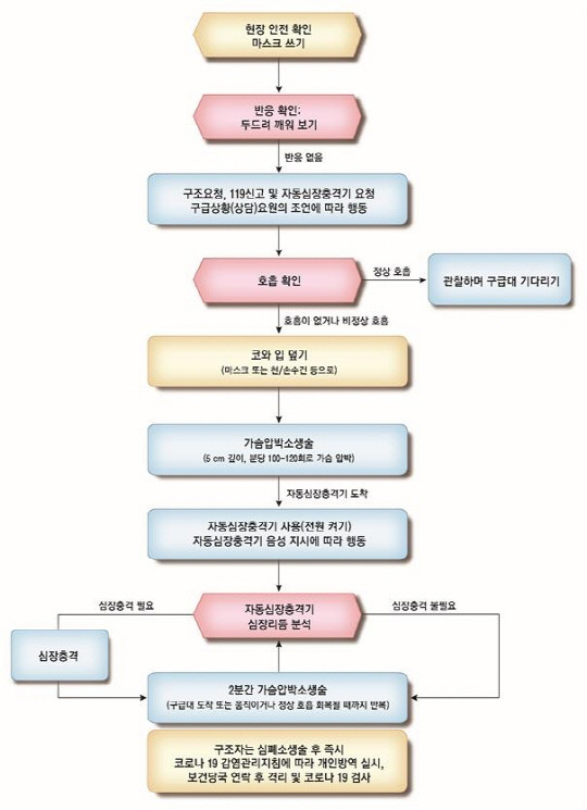 코로나19 유행시 일반인 구조자용 심폐소생술. 질병관리청 제공.