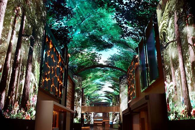 모히건 인스파이어 리조트 디지털 엔터테인먼트 거리 '오로라'. 대형 LED 전광판에서는 푸른빛의 나무와 숲속 풍경이 연출됐다. 모히건 인스파이어