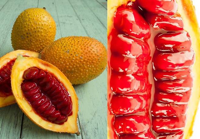 파이토케미컬 성분의 집합체이자 파이토케미컬의 끝판왕이라 불리는 과일로는 걱(Gac fruit)이 있다. [사진= 게티이미지뱅크]