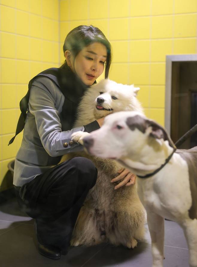 네덜란드를 국빈 방문한 윤석열 대통령의 부인 김건희 여사가 12일(현지시간) 암스테르담 동물보호재단의 반려견 거주공간에서 주인에게 오랜 기간 학대 당하고 굶주리다 구조돼 보호 중인 강아지들을 쓰다듬고 있다. [공동취재] /사진=연합뉴스