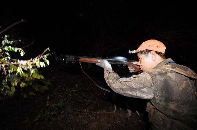 2019년 10월 경기 의정부시 홍복산 자락에서 엽사가 사냥개와 함께 멧돼지를 수색하고 있는 모습. 의정부=홍인기 기자