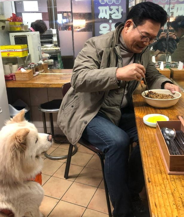 송영길 전 더불어민주당 대표가 13일 용산의 한 중국집에서 짜장면을 사 먹는 모습. 송 전 대표는 이 사진을 페이스북에 올리면서 반려견이 남겨 줄 짜장면에 집중하고 있다고 썼다. / 사진=송 전 대표 페이스북