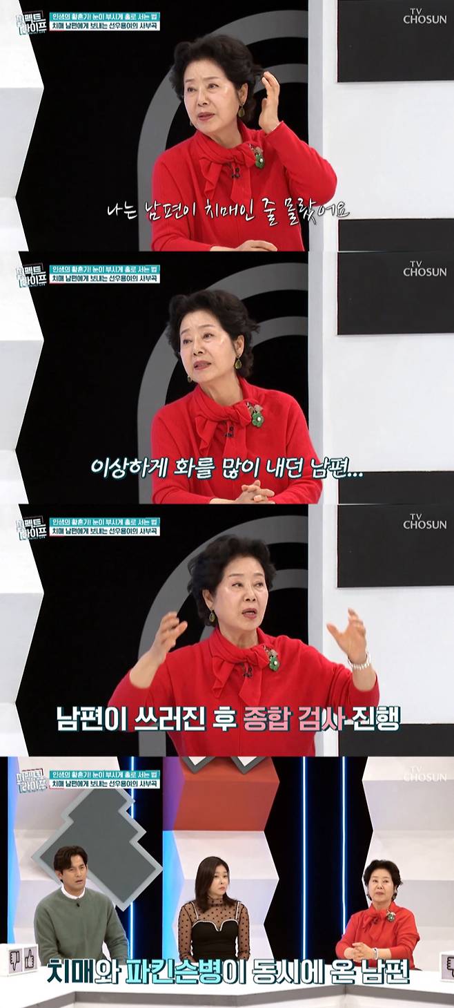 /사진=TV조선 '퍼펙트 라이프' 방송 화면