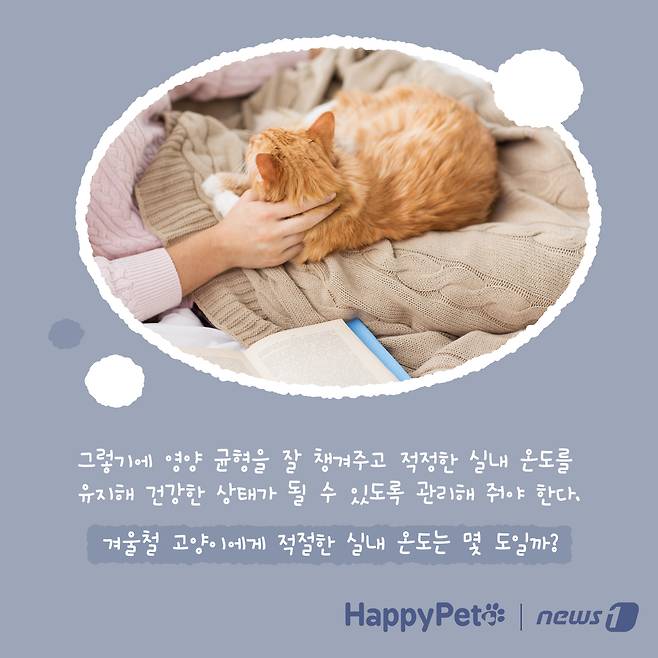 겨울철 고양이 관리법 펫카드