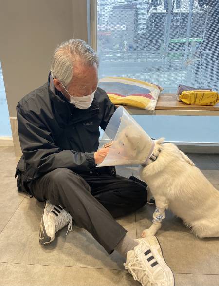수술하기 전, 불안해하는 행운이를 위해 찬 바닥에 주저 앉아 눈높이를 맞추던 사람. 처지와 상관없이 그는 행운이의 가장 좋은 친구이자 가족이자 보호자였다./사진=남형도 기자