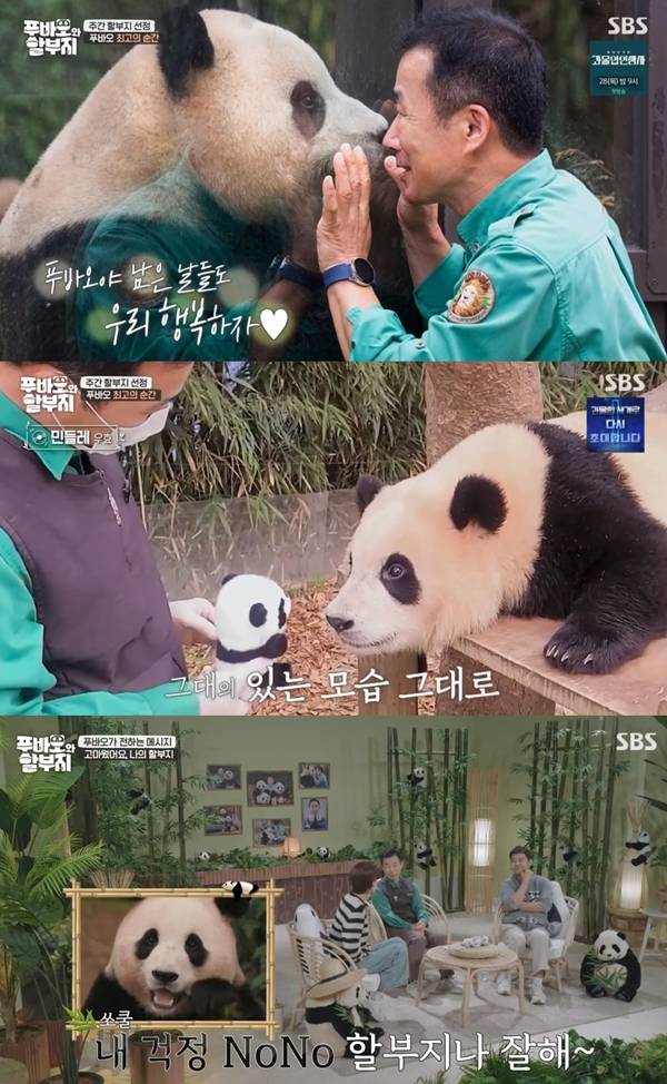 푸바오와 할부지 / 사진=SBS 캡처