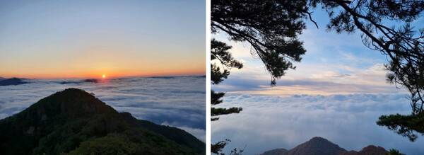 온라인 커뮤니티