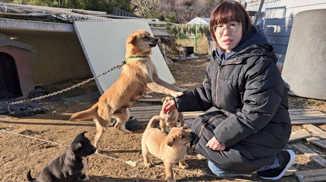 동물단체 조영수 대표가 출산한 마당 개를 살펴보는 모습. 조 대표는 견주를 찾아가 반복되는 번식을 예방하도록 중성화 시술을 당부했다. 구청에 신청하면 최대 40만원의 중성화 국비 지원을 받을 수 있다. 이성훈 기자