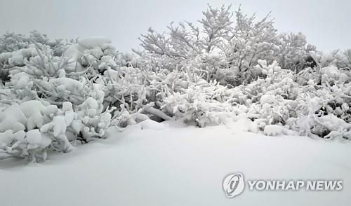 폭설 내린 전북 무주 덕유산ⓒ연합뉴스