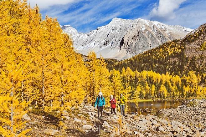 Kananaskis Country ⓒ Travel Alberta 시내 전경 ⓒ Travel Alberta"