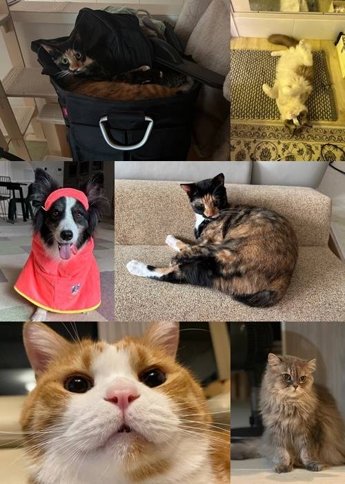 래퍼 치타가 반려동물을 소개했다. 사진=치타