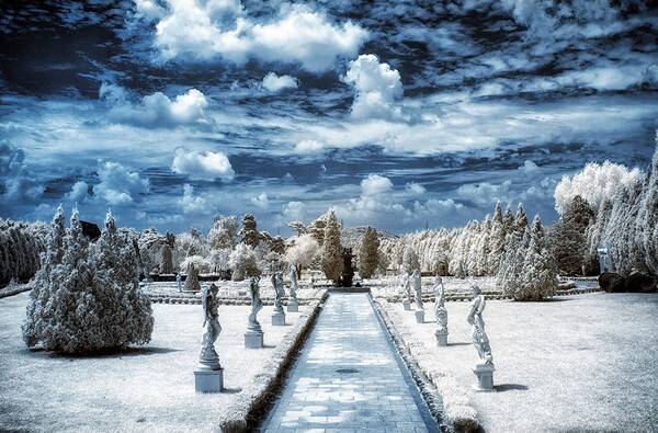 온라인 커뮤니티