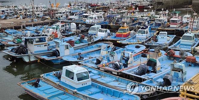 [연합뉴스 자료사진]