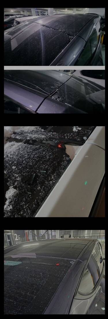 온라인 커뮤니티 캡쳐