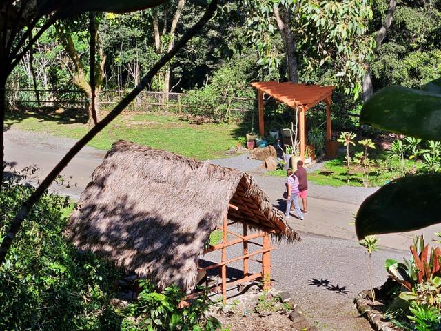 와이메아 계곡 산책로에서 방문객들이 고대 하와이 유적 사이를 거닐고 있다.