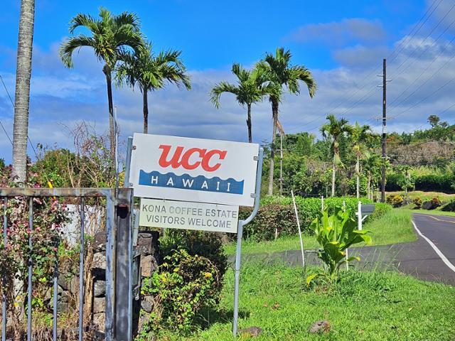 하와이섬 '코나 커피 벨트'에 위치한 UCC 커피 하와이 직영 농장에서는 나만의 로스팅 커피를 만들어 볼 수 있다.