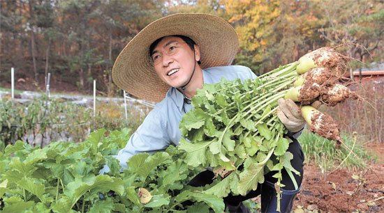 안희정 전 충남지사가 2014년 텃밭에서 무를 캐고 있다. 그는 이미지 변신을 위해 농사를 지었다고 한다. [중앙포토]