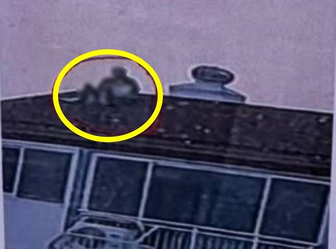 경사진 아파트 옥상에서 애정행각을 벌이는 남녀가 주민들에게 목격돼 관리사무소가 비상 대피 외 옥상 출입 금지를 당부했다. 사진은 해당 아파트 안내문에 첨부된 남녀의 사진. /사진=온라인 커뮤니티 캡쳐