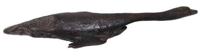 마도 해역에서 발굴된 기러기 모양 나무 조각품