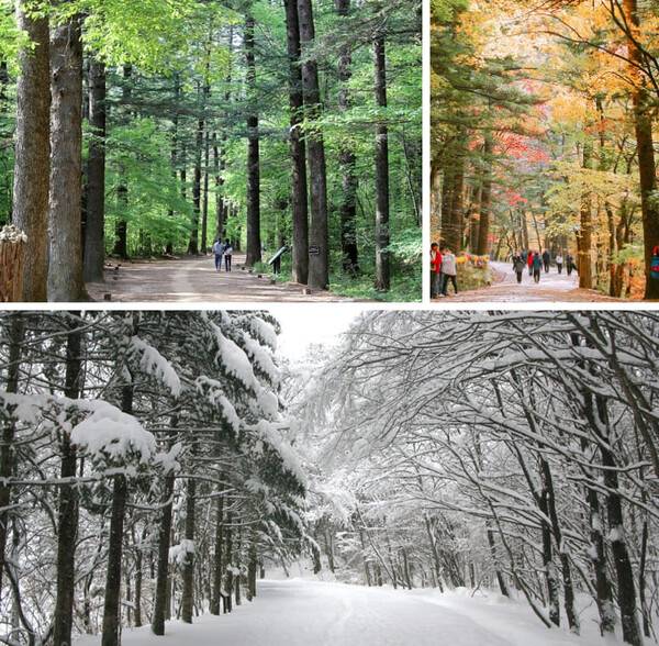 온라인 커뮤니티