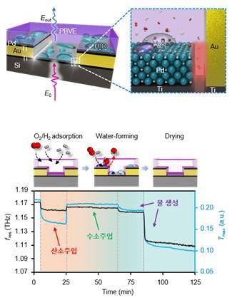 비접촉식 테라헤르츠 가스 광센서 구조와 수소 감지 실험 그래프 수소와 산소 농도 비율에 따라 팔라듐 촉매반응을 통해 변화하는 메타구조와 광학상수 및 생성되는 물 층(lay.er)의 두께, 그리고 이에 따른 테라헤르츠 신호 변화 관찰 [한국과학기술연구원 제공. 재판매 및 DB 금지]