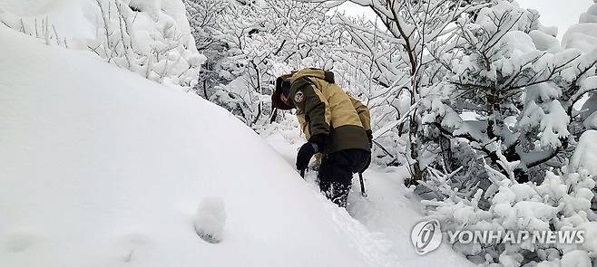 설악산에 쌓인 눈