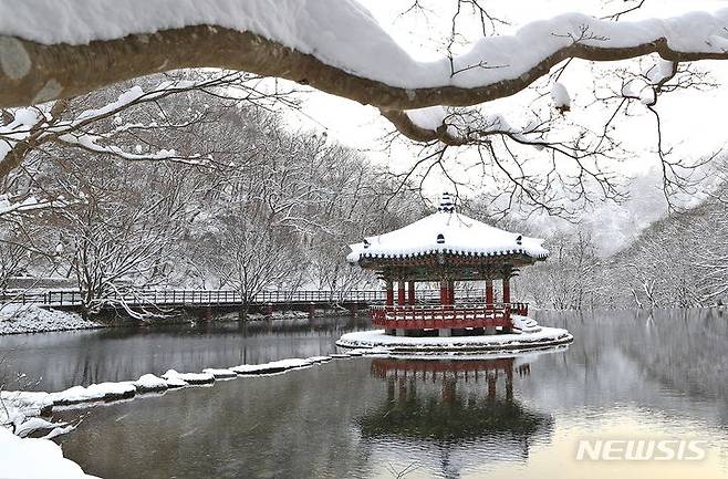 눈 덮힌 내장산의 우화정. (사진 = 정읍시 제공)  *재판매 및 DB 금지