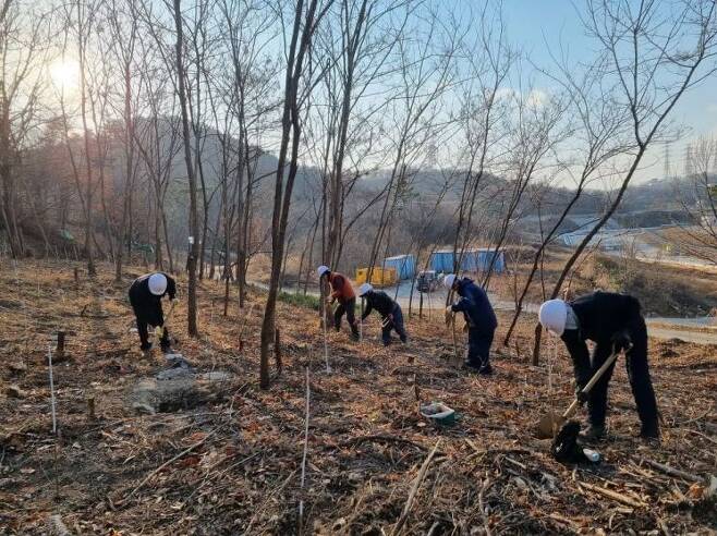탄소흡수원을 조성하기 위해 상수리 나무를 식재하고 있는 한국석유공사 울산지사.