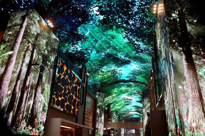 총길이 150m에 높이 25m인 '오로라'는 초고화질 LED 스크린 위에 초현실적인 비주얼을 생생하게 구현한 몰입형 디지털 거리다.