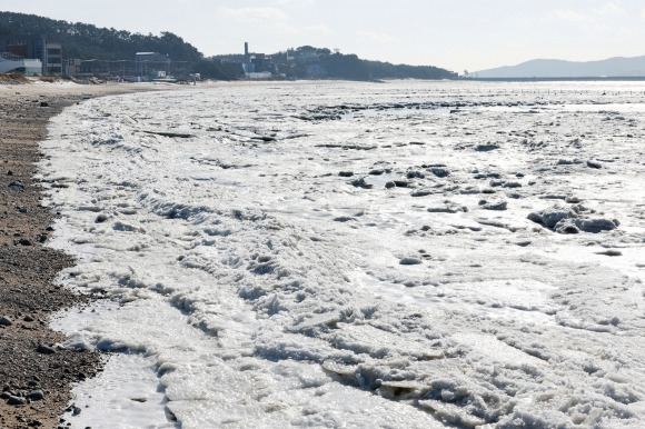 바닷물도 얼리는 매서운 한파 - 올겨울 최강 한파가 절정에 이른 22일 인천 중구 마시안해변 앞바다가 꽁꽁 얼어 붙어있다. 2023.12.22