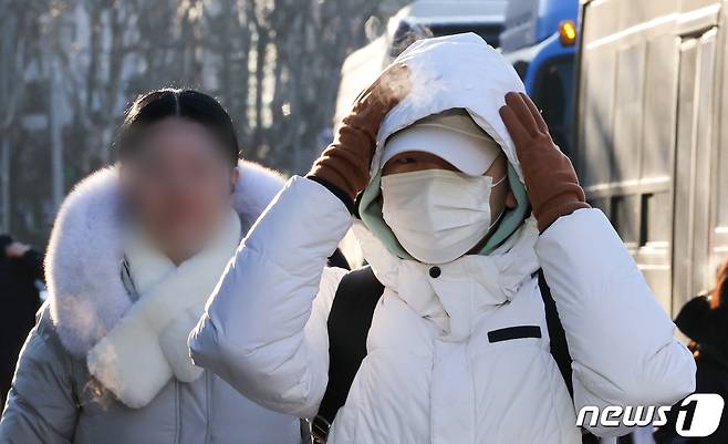 전국에 한파가 몰아쳐 시민들이 두터운 옷을 입고 이동하고 있다.(자료사진)/뉴스1 ⓒ News1