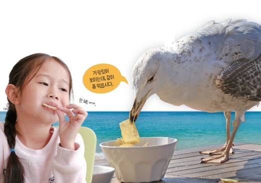 갈매기는 남의 과자를 탐낸다는 연구결과가 나왓다. 게티이미지뱅크 제공