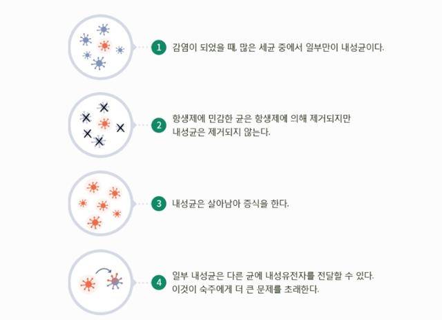 내성균 발생 과정. 질병관리청
