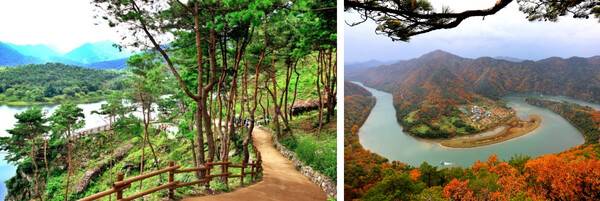 온라인 커뮤니티